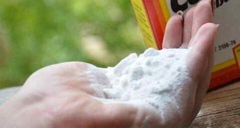 bicarbonato di sodio per l'ingrandimento del pene